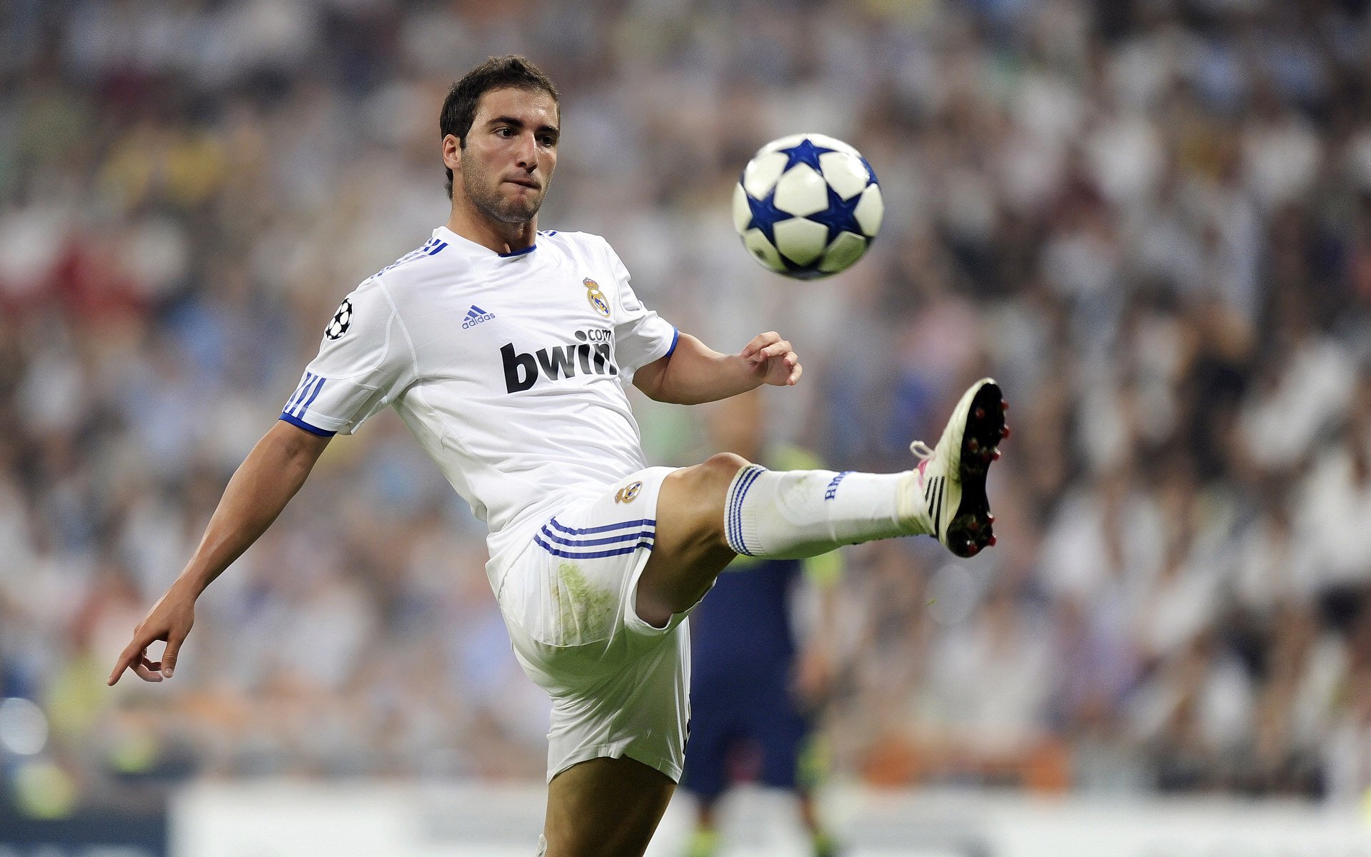 球迷狂热：现场氛围最震撼的比赛回顾，球迷视频